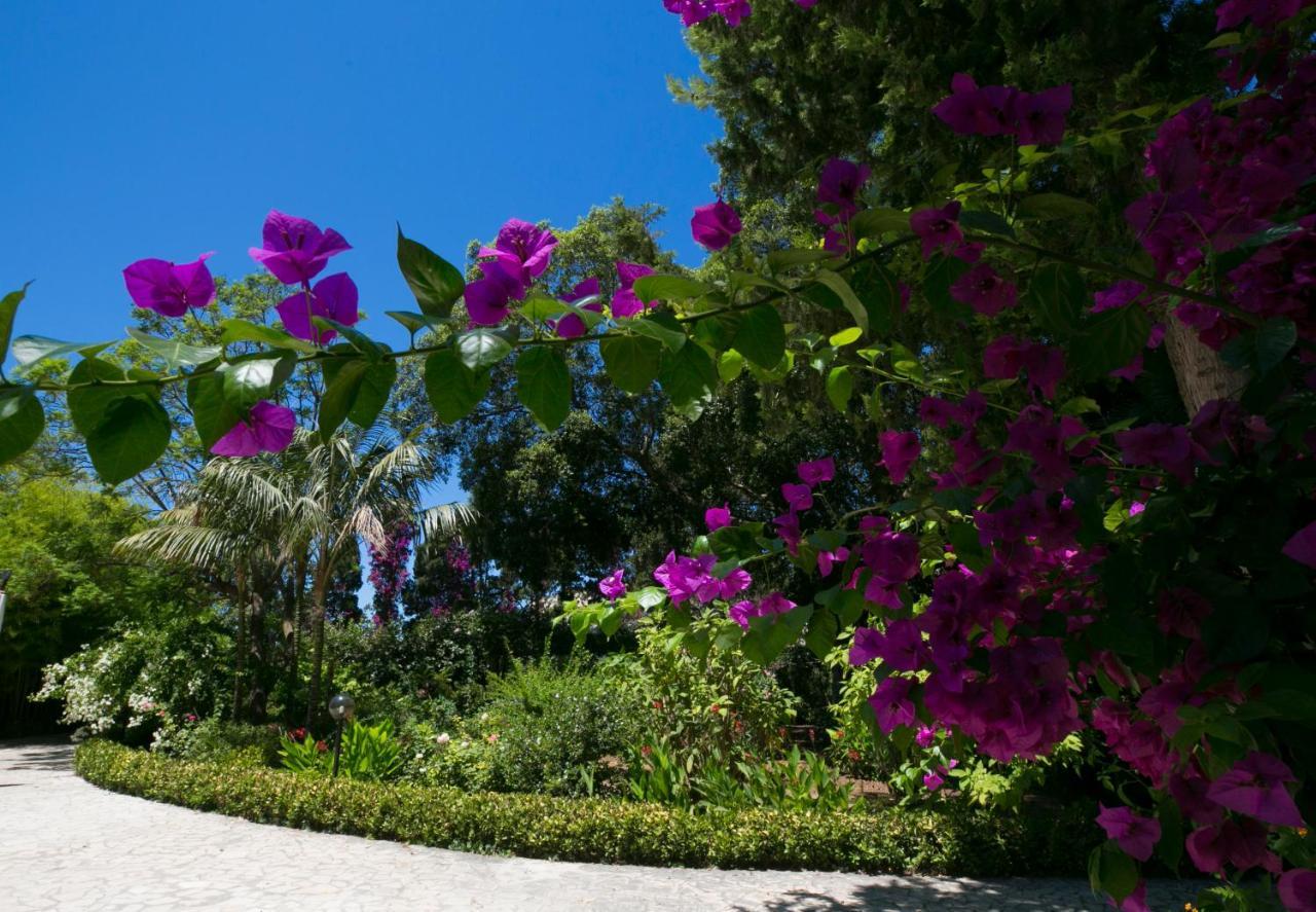 Villa Pampalone - B&B In Dimora Storica トラーパニ エクステリア 写真