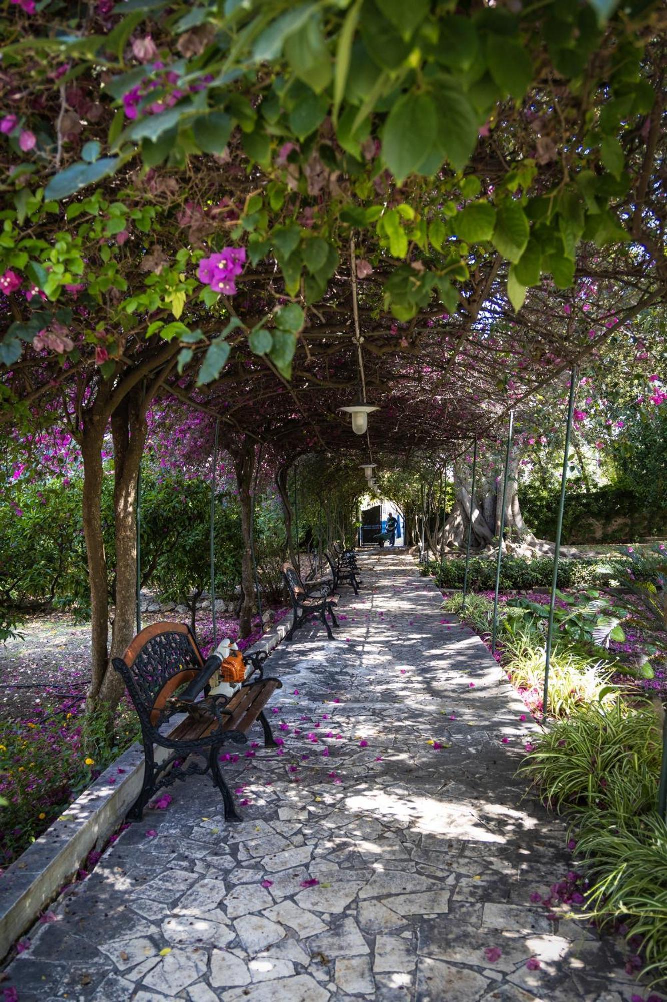 Villa Pampalone - B&B In Dimora Storica トラーパニ エクステリア 写真