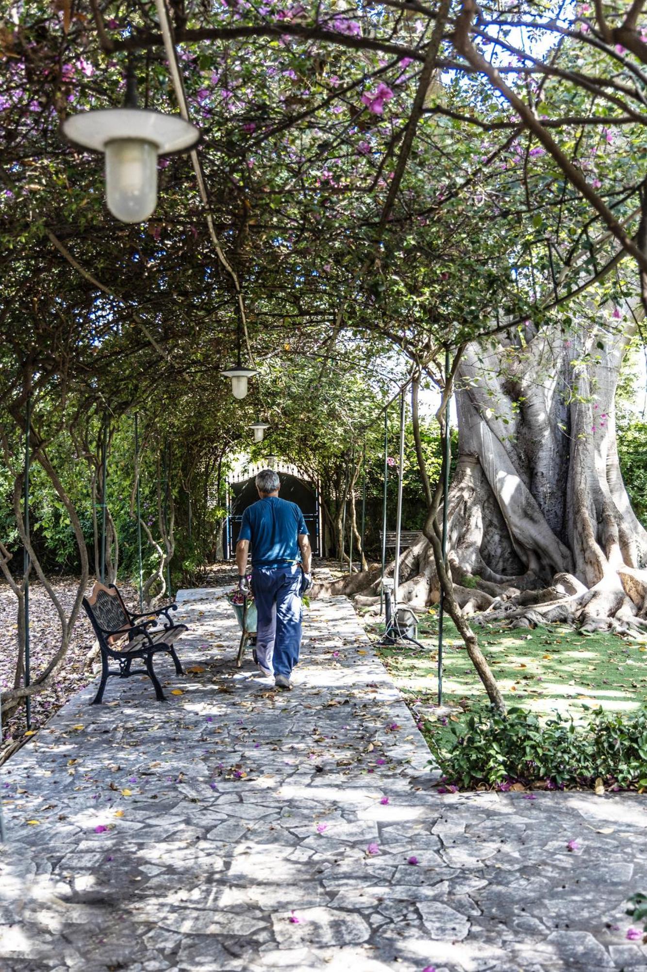 Villa Pampalone - B&B In Dimora Storica トラーパニ エクステリア 写真